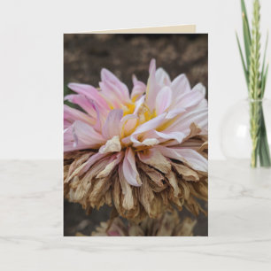 Cartão de saudação de Vazio Dahlia Fall