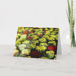 Cartão de Saudação de Vazio das Flores de outono