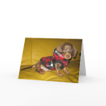 Cartão de saudação de vazio de dachshund de cachor