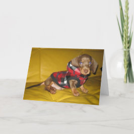 Cartão de saudação de vazio de dachshund de cachor