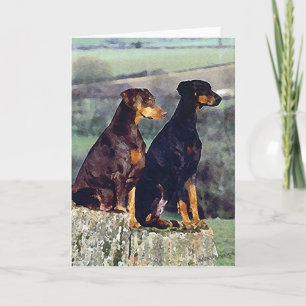 Cartão de saudação de Vazio de Portraje Doberman D