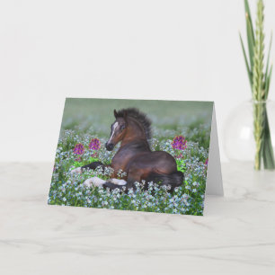 Cartão de saudação de Vazio Foal e Flores