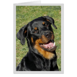 Cartão de Saudação de Vazio Rottweiler Cute