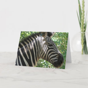 Cartão de Saudação de Zebra Cuja