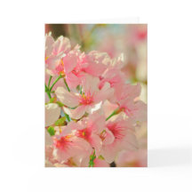 Cartão de saudação, dentro vazio