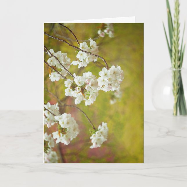 Cartão de saudação, Dentro Vazio (Frente)