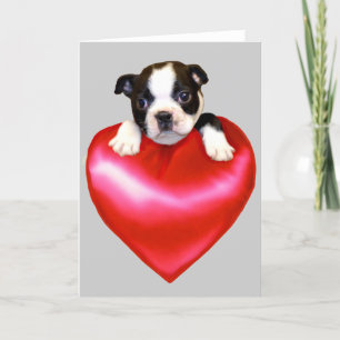Cartão de saudação do Boston Terrier do amor