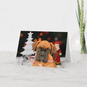 Cartão de saudação do cão Boxer de Natal