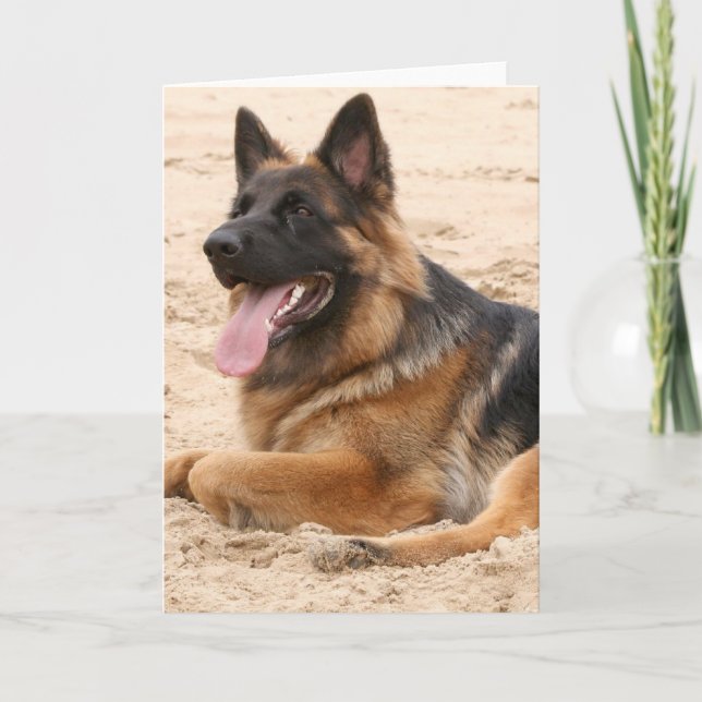 Cartão de saudação do cão German shepherd aninhado (Frente)