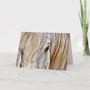 cartão de saudação do cavalo de tan barn