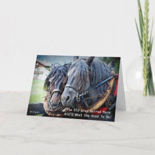Cartão de Saudação do Cavalo Velho e Engraçado