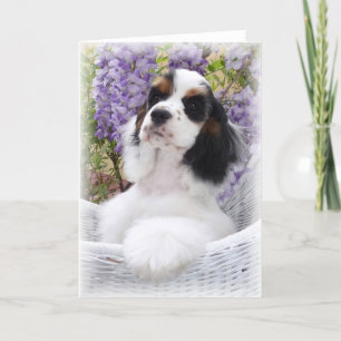 Cartão de saudação do Cocker Spaniel