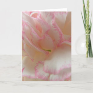 Cartão de saudação do craveiro rosa e branco