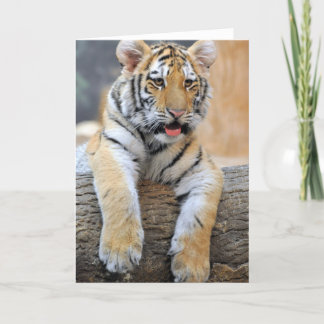 Cartão de Saudação do Cub do Tigre