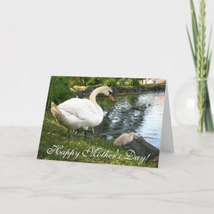 Cartão de saudação do Dia de as mães Swan e do beb