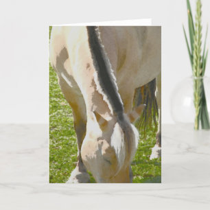 Cartão de saudação do fiorde