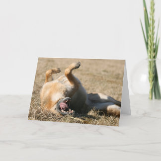 Cartão de saudação do german shepherd
