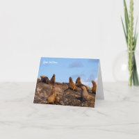 Cartão de saudação do leão-marinho