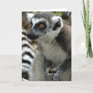 Cartão de Saudação do Macaco Lemur