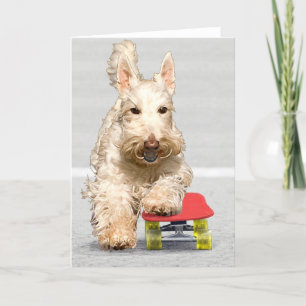 Cartão de Saudação do Scottish Terrier de Skateboa