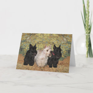 Cartão de Saudação do Terrier Escocês