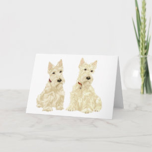 Cartão de Saudação do Terrier Escocês
