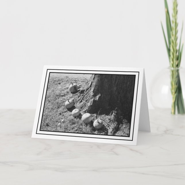 Cartão de Saudação do Vazio Autumn Pumpkins (Frente)