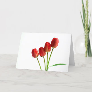 Cartão de saudação do vazio de tulipas vermelhas