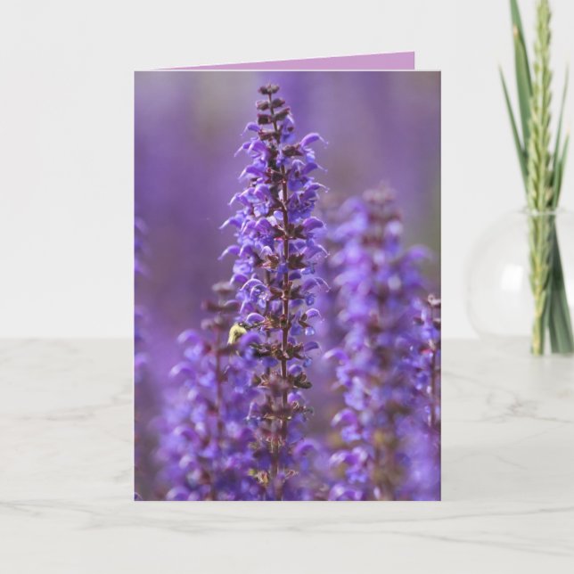 Cartão de Saudação do Vazio de Verão (Frente)