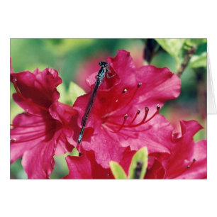 Cartão de saudação do vazio Dragonfly