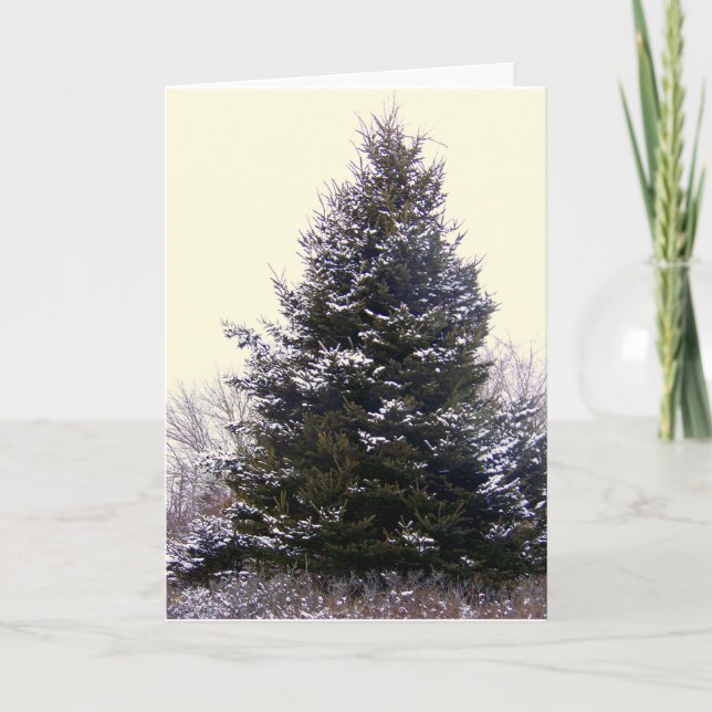 Cartão de saudação do vazio "Maine" (Frente)