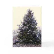 Cartão de saudação do vazio "Maine"