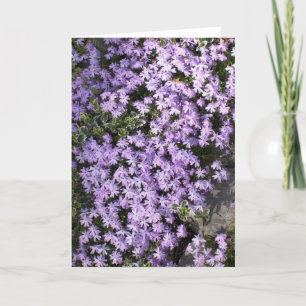 Cartão de Saudação do Vazio 'Purple Springtime'