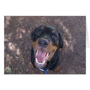 Cartão de Saudação do Vazio Rottweiler Feliz Heidi