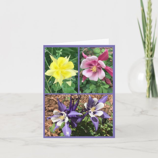 Cartão de saudação dobrado (Frente)