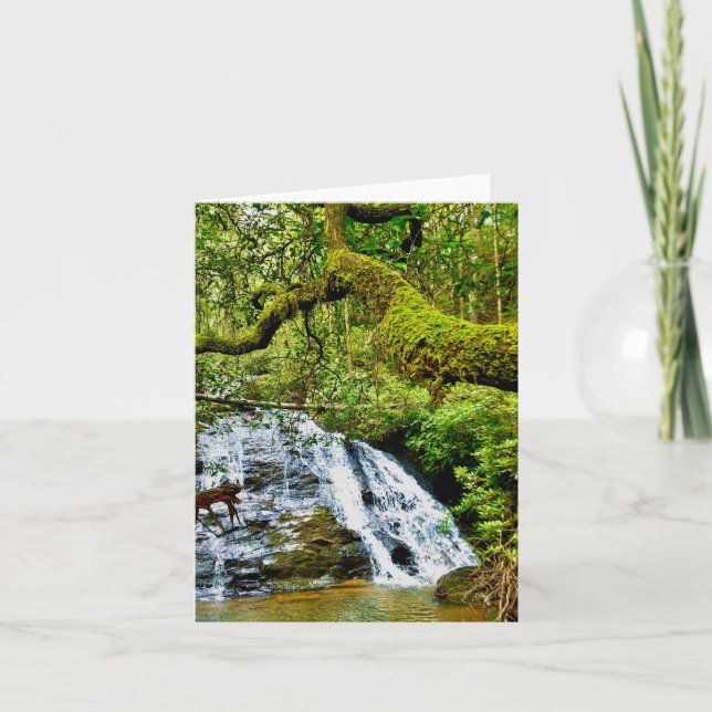 Cartão de saudação dobrado com cascata (Frente)