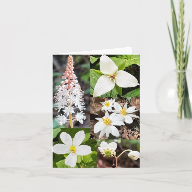 Cartão de saudação dobrado com colagem de flores s (Frente)