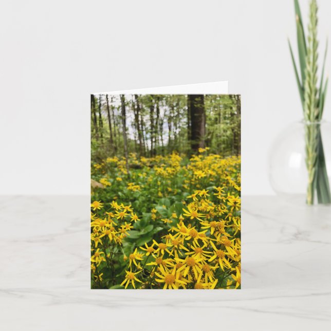 Cartão de saudação dobrado com motivo de floresta (Frente)