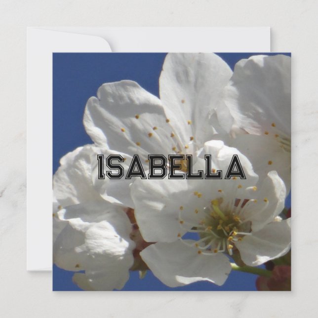 Cartão de Saudação Dobrado das Flores Brancas (Frente)