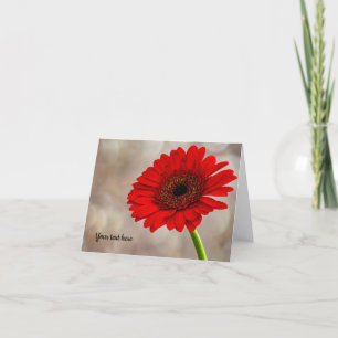 Cartão de Saudação Dobrado de Gerbera Vermelha