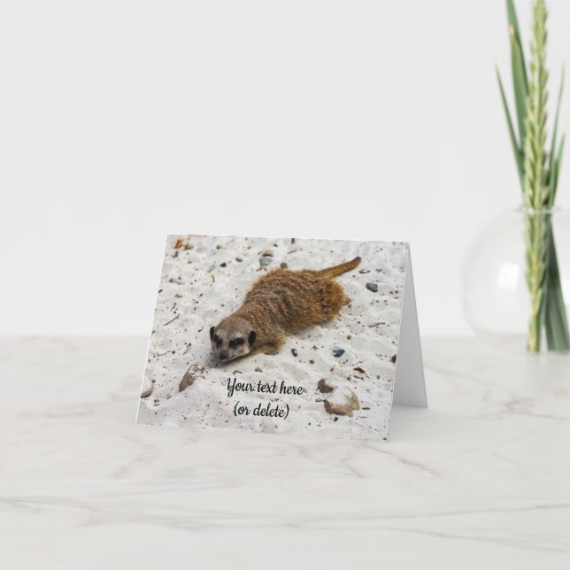 Cartão de Saudação Dobrado do Meerkat (Frente)