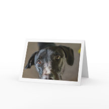 Cartão de saudação dobrado do vazio "Melhor Amigo"