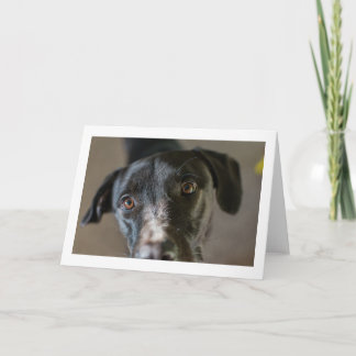 Cartão de saudação dobrado do vazio "Melhor Amigo"