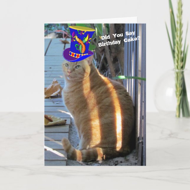 Cartão de Saudação Dobrado Engraçado Gato Gordo (Frente)