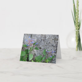 Cartão de Saudação Dobrado - Herculaneum