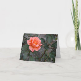 Cartão de Saudação Dobrado - Itália