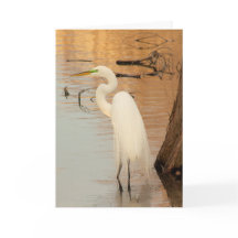 Cartão de saudação dobrado pelo ouro