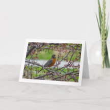 Cartão de saudação dobrado pelo vazio "Rockin'"