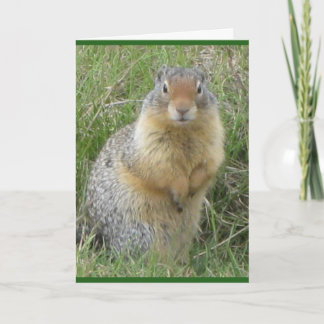 Cartão de saudação dobrado standard de 5" x 7"