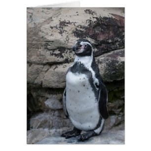 Cartão de saudação dos animais com um pinguim.